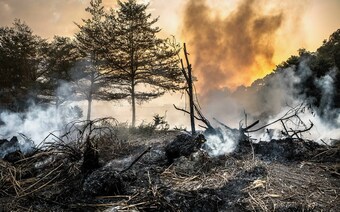 Оценка ущерба после стихийного бедствия в Новосибирске: отчет оценщика